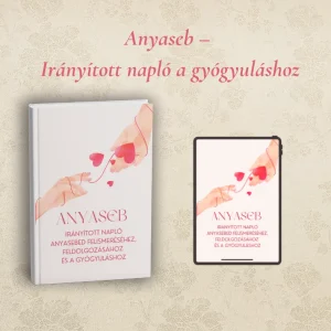 Anyaseb – Irányított napló a felismeréshez, feldolgozáshoz és gyógyuláshoz
