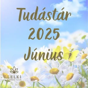 2025. júniusi tudástár