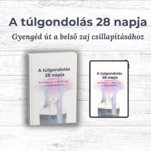 A túlgondolás 28 napja- Önismereti munkafüzet a belső zaj csillapításához
